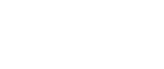 Tozzini