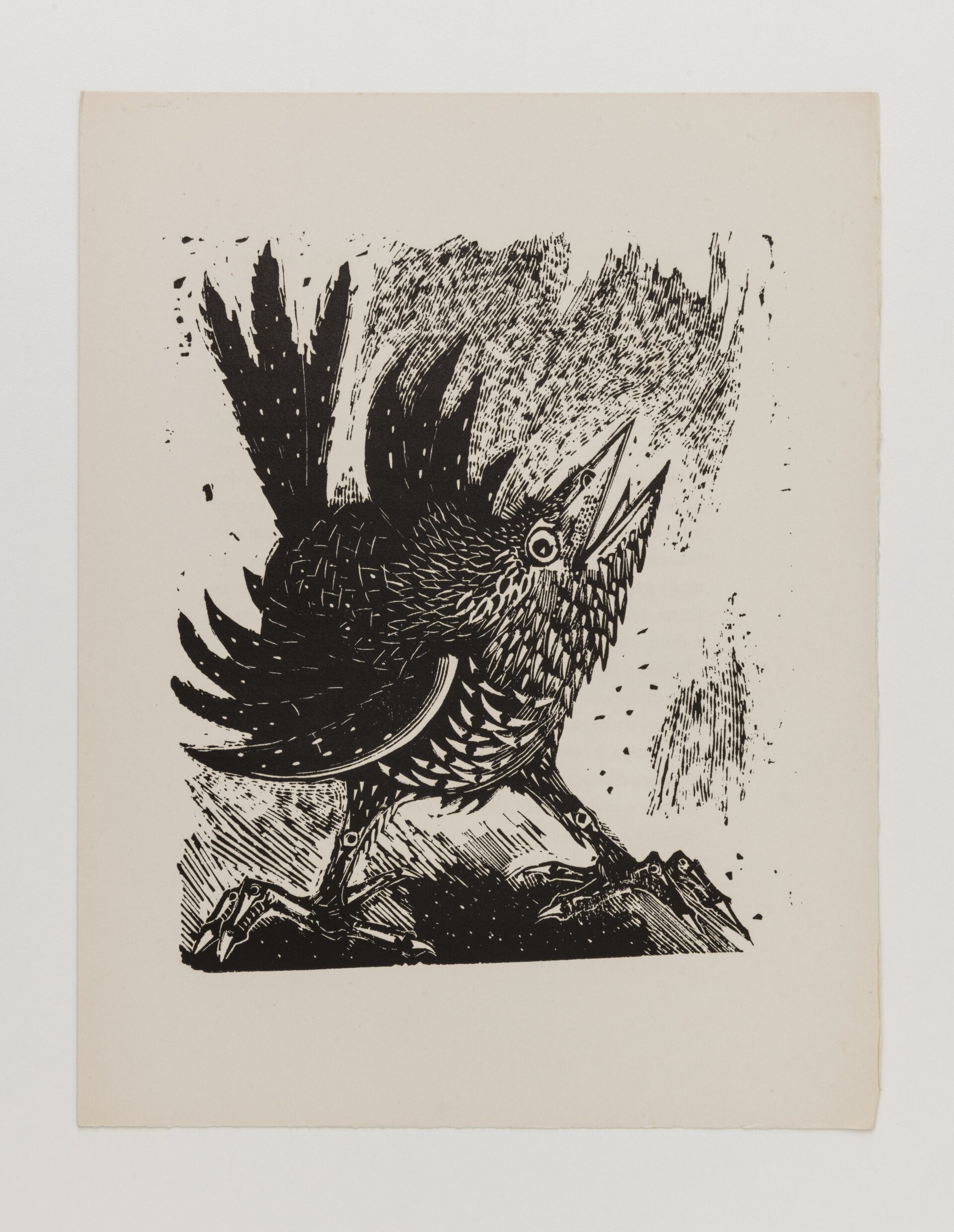 Descrição da imagem: A obra é uma gravura vertical de um pássaro preto. Ocupa  a maior parte do quadro, está de perfil esquerdo, a cabeça levantada, o olho redondo arregalado e o bico aberto. As penas são detalhadas com texturas de linhas e pontos,  a  cauda e a crista estão arrepiadas. O pássaro está em pé sobre um chão com vários riscos irregulares. O fundo é coberto por uma área de linhas e pontos. Fim da descrição. 