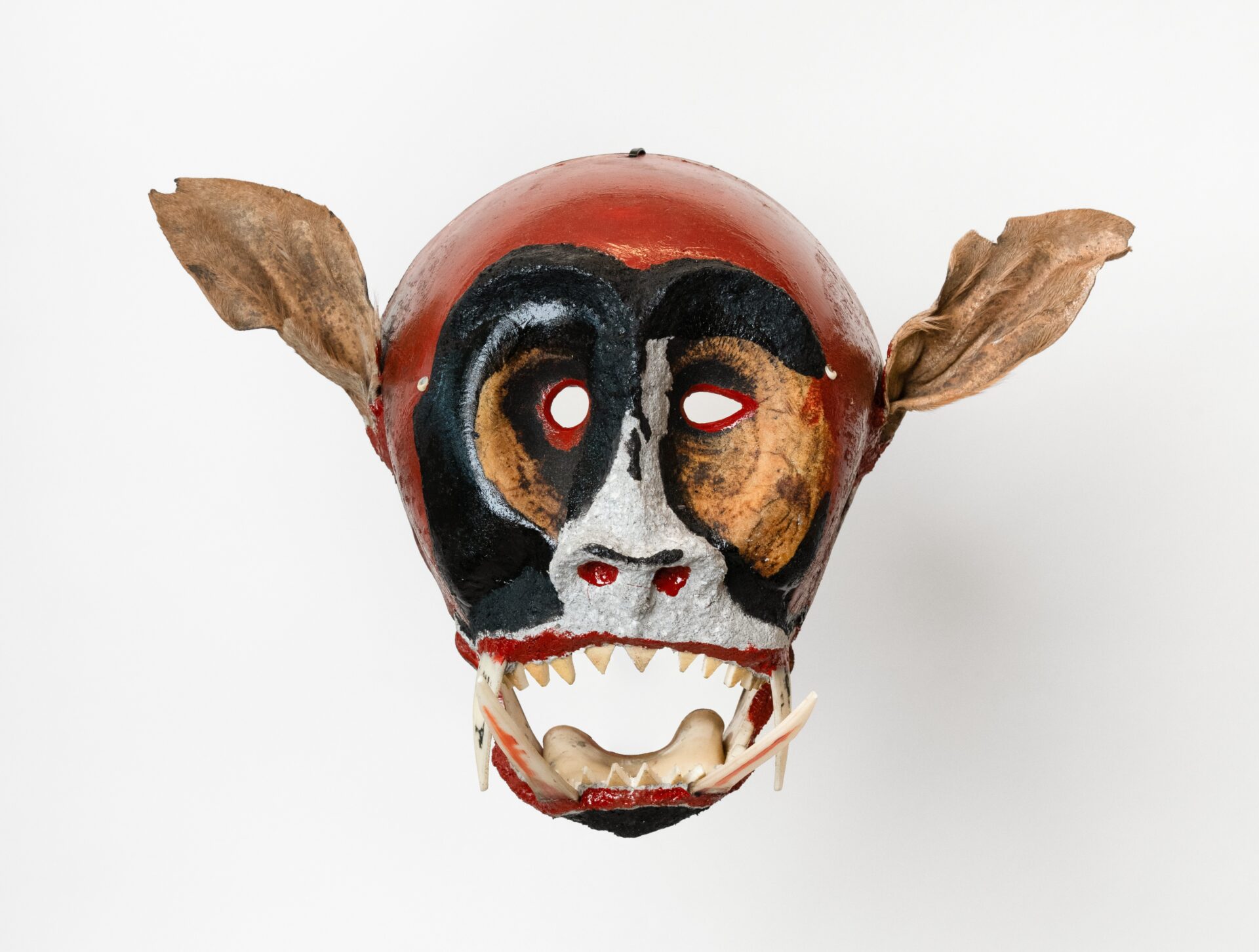 Descrição da imagem: Máscara tridimensional pintada. Vista de frente, a obra tem o topo da cabeça arredondado e vermelho. As orelhas são marrons, alongadas para os lados e levemente enrugadas. Ao centro, uma mancha preta se estende da testa até a boca.
O olho esquerdo é amendoado e vazado, e o direito, redondo e vazado, ambos rodeados por manchas marrons.
O nariz é branco e largo, com narinas vermelhas. Os lábios são vermelhos e a boca, larga, está aberta, deixando à mostra dentes pequenos, triangulares e amarelados. As duas presas superiores se cruzam com as duas inferiores. Fim da descrição da imagem.
