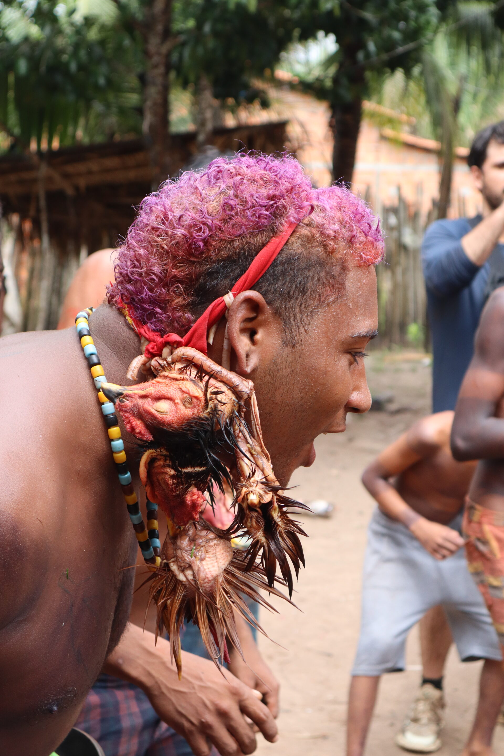 Descrição da imagem: Fotografia vertical de um indígena enquadrado do peito para cima. De perfil para a direita, está com o tronco inclinado à frente. Tem cabelo curto, cacheado e tingido em tons de rosa e roxo. O peito está nu, e ele usa um colar de miçangas em azul, preto e amarelo. Está com uma faixa vermelha na cabeça, com a cabeça de uma galinha amarrada e pendurada na lateral. A ave tem pele bege, parcialmente depenada, penas marrons, cabeça vermelha e bico cinza. Ao fundo, desfocadas, há pessoas vistas parcialmente, uma casa de tijolos à mostra e árvores. Fim da descrição da imagem.
