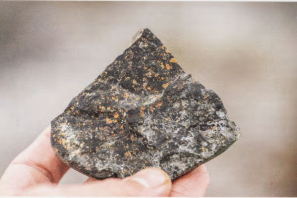 ativismo curatorial no Brasil