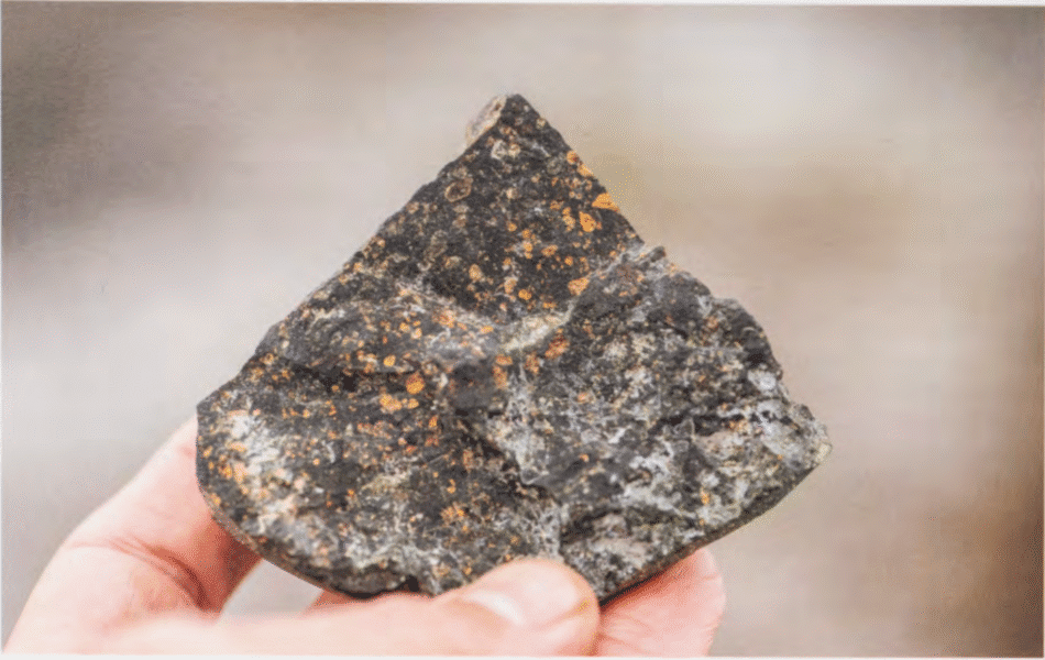 ativismo curatorial no Brasil