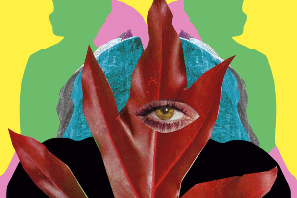 Imagem. Descrição da imagem: Uma colagem de arte digital ou mista, caracterizada por um fundo de cores vivas e contrastantes: amarelo forte no topo e nas laterais, e verde vibrante nas laterais inferiores. No centro, duas silhuetas humanas simétricas e espelhadas em verde escuro emolduram uma forma rochosa e texturizada em cinza, sobre a qual há um pedaço de material azul-turquesa, que pode representar água ou uma textura mineral. No primeiro plano central, uma grande folha de formato lobado, de cor vermelho intenso e textura evidente, domina a composição. No centro dessa folha, um recorte em forma de amêndoa revela um olho humano de cor castanha e realista, que olha diretamente para frente. Abaixo da folha vermelha, na parte inferior, há um bloco escuro de cor preta. As cores saturadas, o tema surreal do olho na folha e a simetria marcante dão à obra um caráter gráfico e chamativo. Fim da descrição.