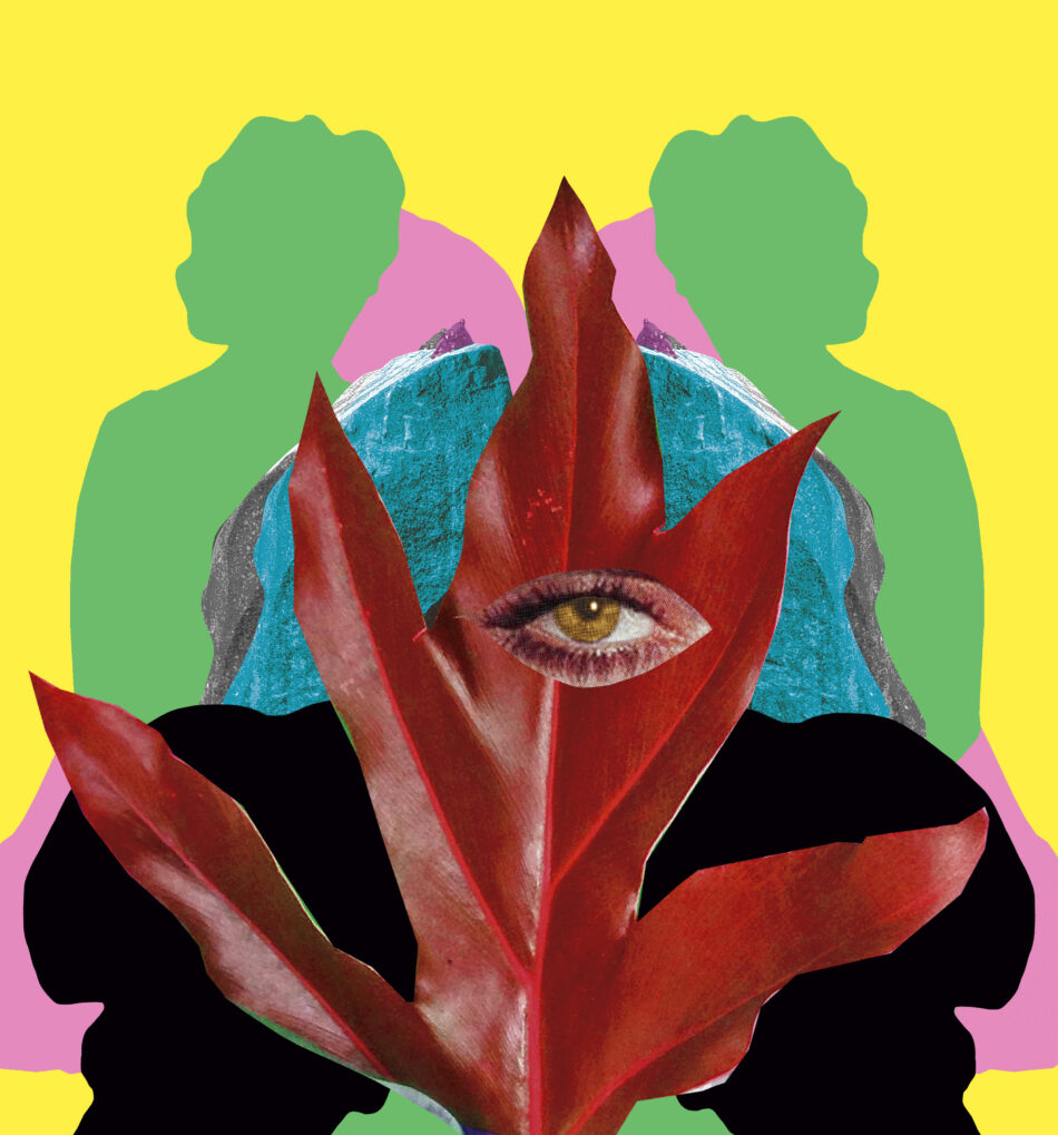 colagem: plantas que mudaram a história