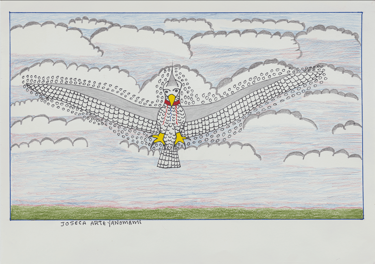 Descrição da imagem:  Ilustração de um Koimari sobre folha branca. A ilustração está inserida em um retângulo, delimitado por uma linha azul. No centro, um grande gavião com asas abertas, formadas por padrões geométricos semicirculares brancos com contorno preto. A cabeça é triangular, com olhos pretos e bico amarelo apontado para baixo. No pescoço, há uma faixa vermelha. O corpo é arredondado, com patas amarelas e cauda de ponta quadrada, também composta pelo mesmo padrão geométrico. Ao redor das asas e da cabeça, há duas fileiras de pequenos círculos. Ao fundo, nuvens grandes desenhadas em linhas cinza. O céu, ao fundo, tem tons de azul e roxo e, na parte inferior, há uma pequena faixa de grama verde. Abaixo da ilustração, no canto inferior esquerdo, a assinatura do artista, em preto: Joseca Arte Yanomami. Fim da descrição da imagem.

