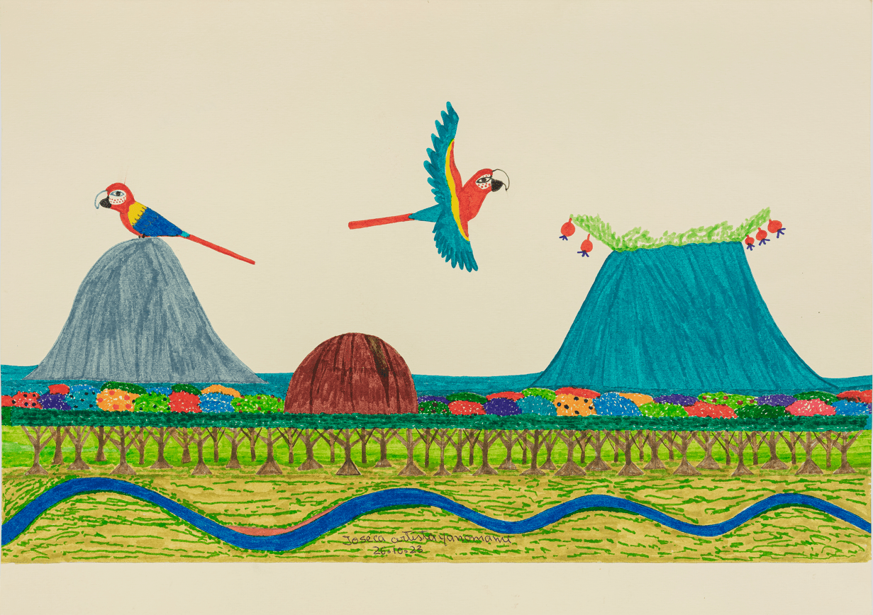 Descrição da imagem: Ilustração de uma paisagem composta por duas araras, vegetação, relevo e um rio sinuoso.
Em um céu bege, à esquerda, uma arara de cabeça vermelha e corpo azul e amarelo está sobre um monte azul-turquesa arredondado.
Ao centro, a outra arara vermelha, azul e amarela voa para a direita, onde há um monte azul com o cume reto, coberto por folhagens verdes e pequenos frutos vermelhos nos galhos laterais.
À frente, entre os montes, uma grande pedra marrom arredondada. Abaixo dos montes e da pedra, uma fileira de árvores de tronco fino marrom e copas arredondadas em vermelho, azul, roxo, amarelo e verde.
Na parte inferior, um campo amarelo com linhas irregulares verdes. O rio sinuoso corta o campo.
No centro inferior, a assinatura do artista, em preto: Joseca artista Yanomami, vinte e seis de outubro de dois mil e vinte e três. Fim da descrição da imagem.
