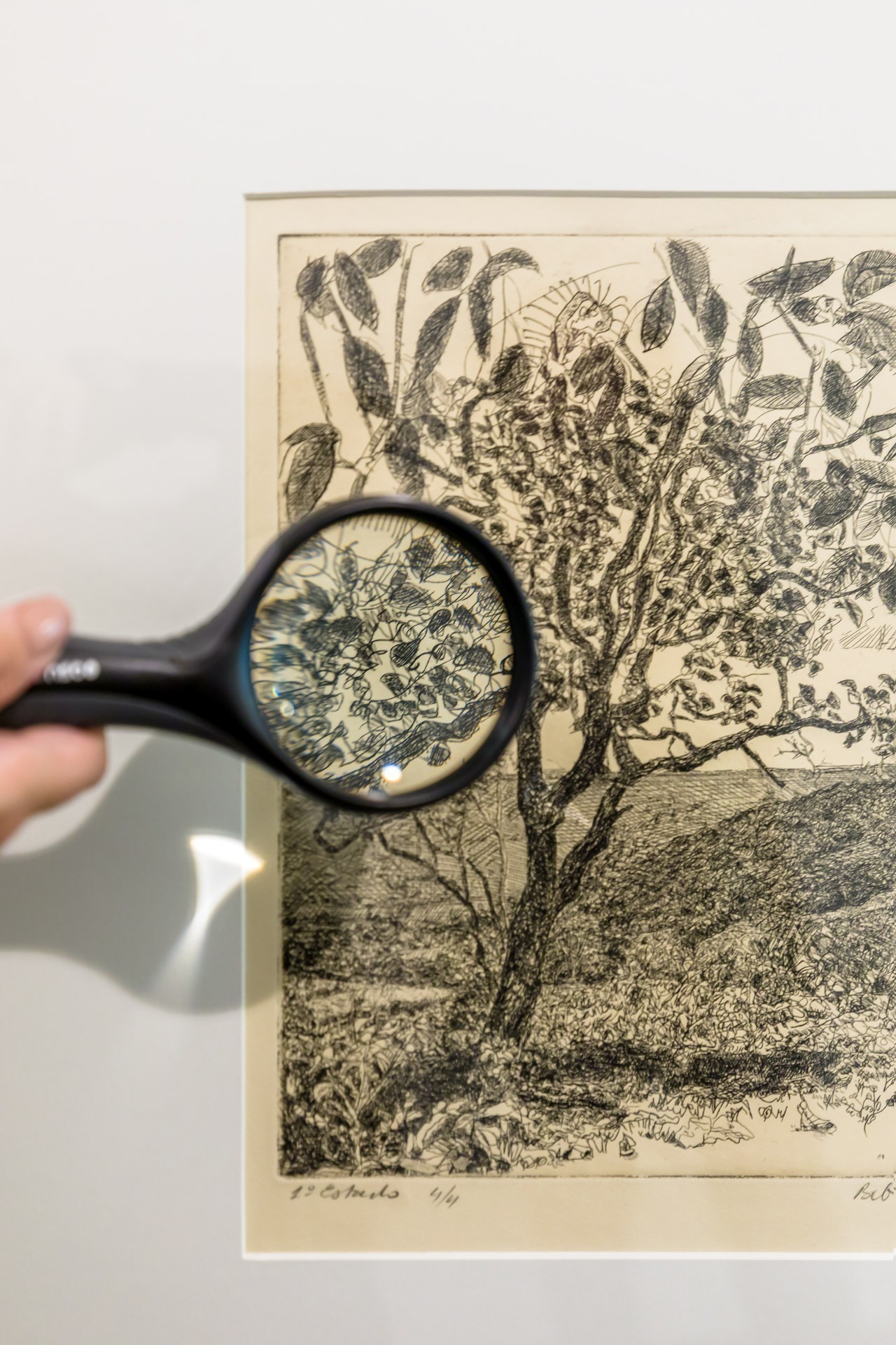 Descrição da imagem: Fotografia horizontal de uma obra vista por meio de uma lupa preta circular. Ao centro, a lente da lupa amplia um trecho do desenho, mostrando linhas pretas finas e entrelaçadas que formam galhos e folhas. À esquerda, desfocados, apenas os dedos polegar e indicador são vistos parcialmente, segurando a lupa. Fora da lente, o restante da obra está desfocado. Fim da descrição da imagem.