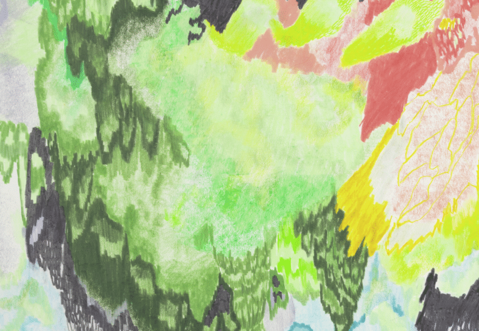 ver não é reconhecer: desenho e prática de observação