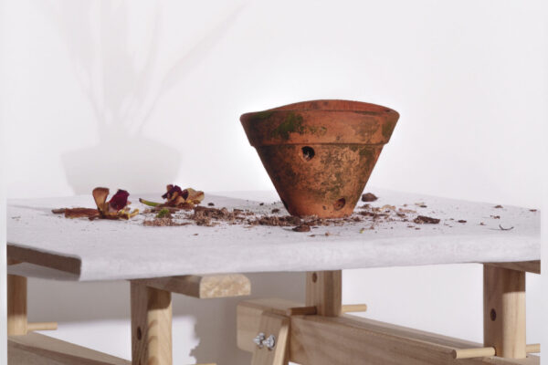 FAAP na coleção do MAM: a formação do artista