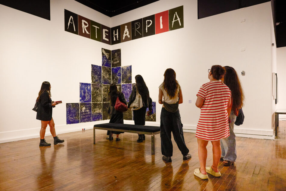 Mediação e experiências poéticas a partir do FAAP na coleção do MAM: a formação do artista