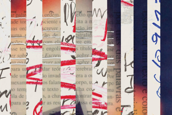 textos de artista: um estudo prático