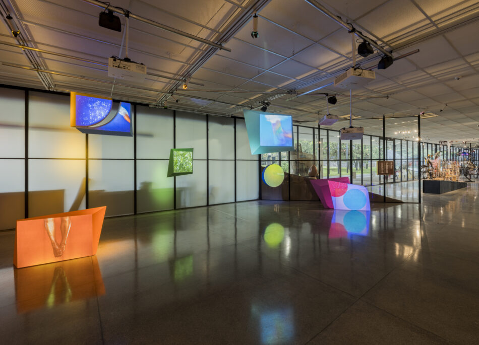 arte contemporânea brasileira a partir do panorama do mam